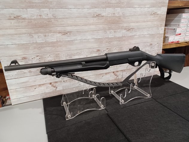 Image for Firearms & Coins