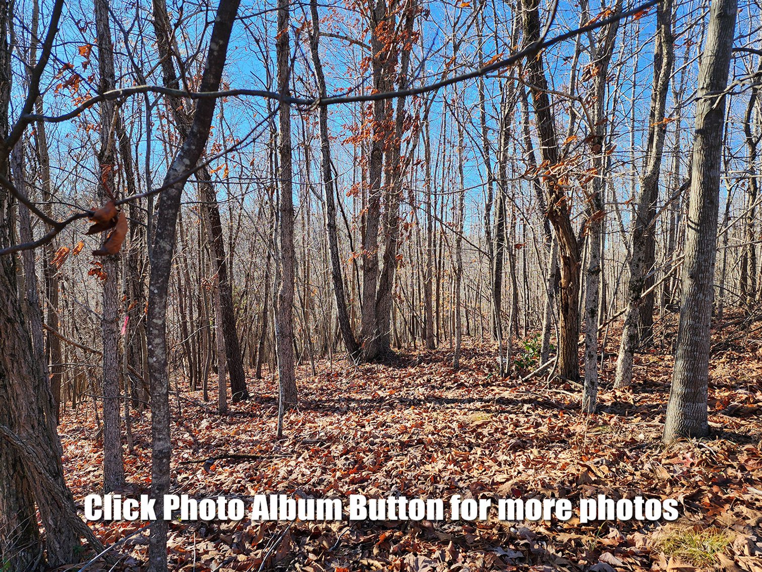 Image for 94 Acres in Madison Heights