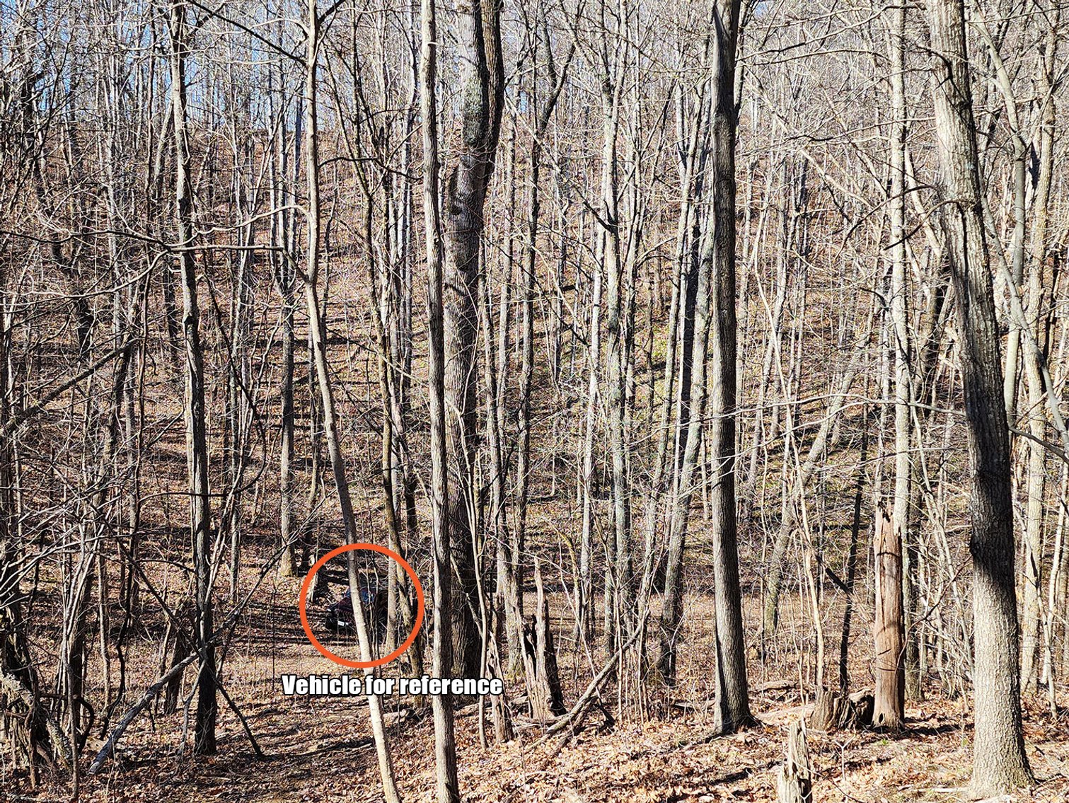 Image for 285 Wooded Acres near Christiansburg