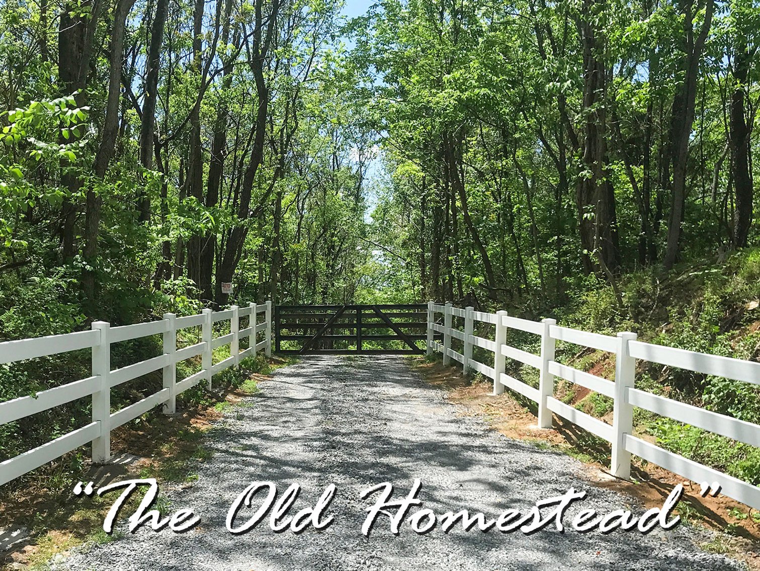 Image for The Old Homestead - 105 Acres in 3 Tracts