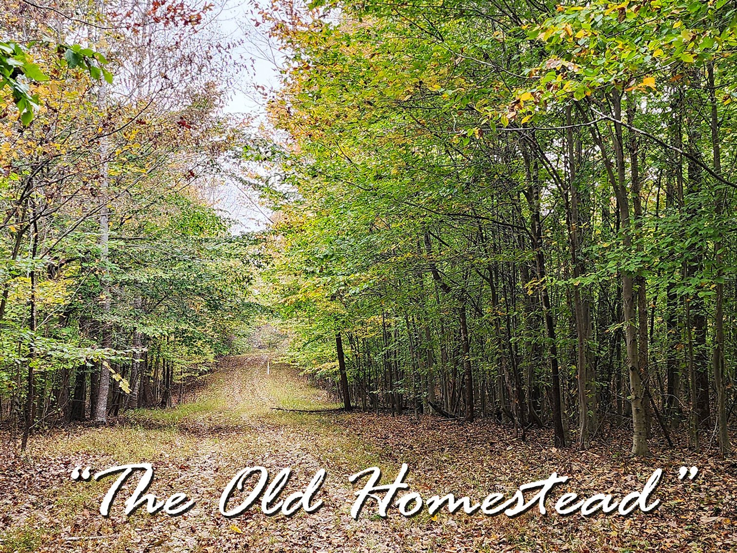 Image for The Old Homestead - 105 Acres in 3 Tracts
