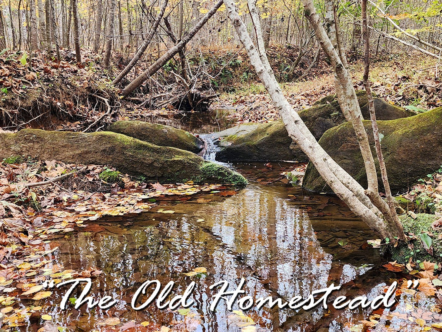Image for The Old Homestead - 105 Acres in 3 Tracts