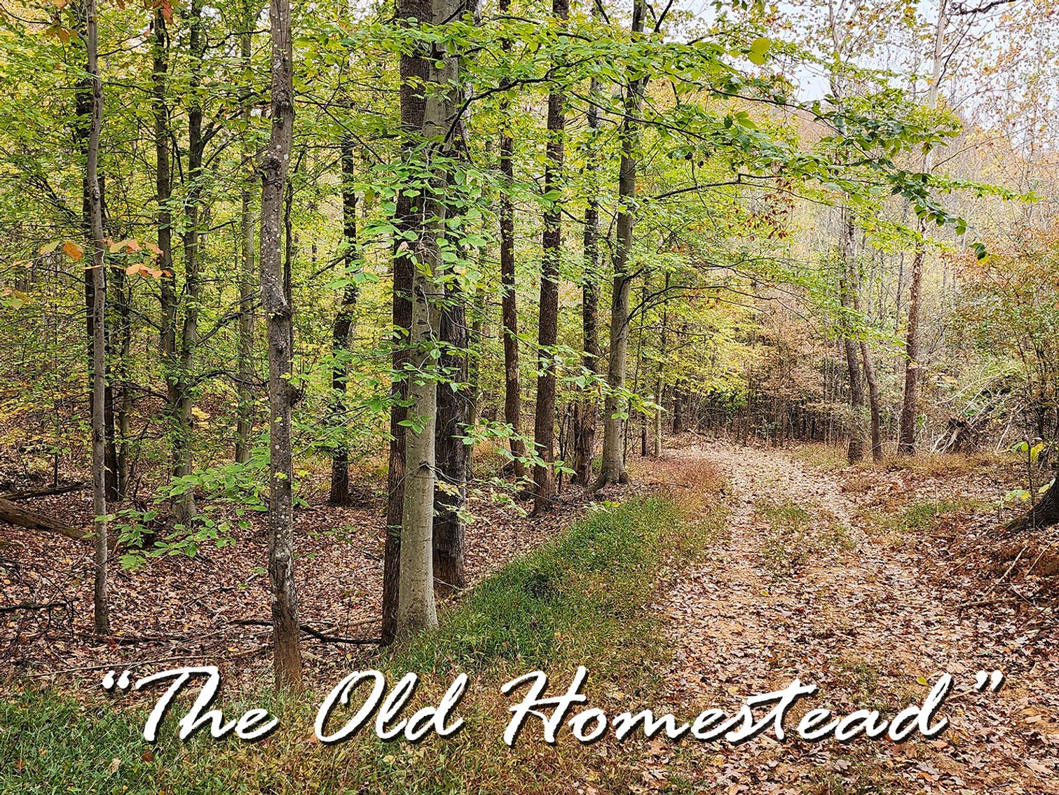 Image for The Old Homestead - 105 Acres in 3 Tracts