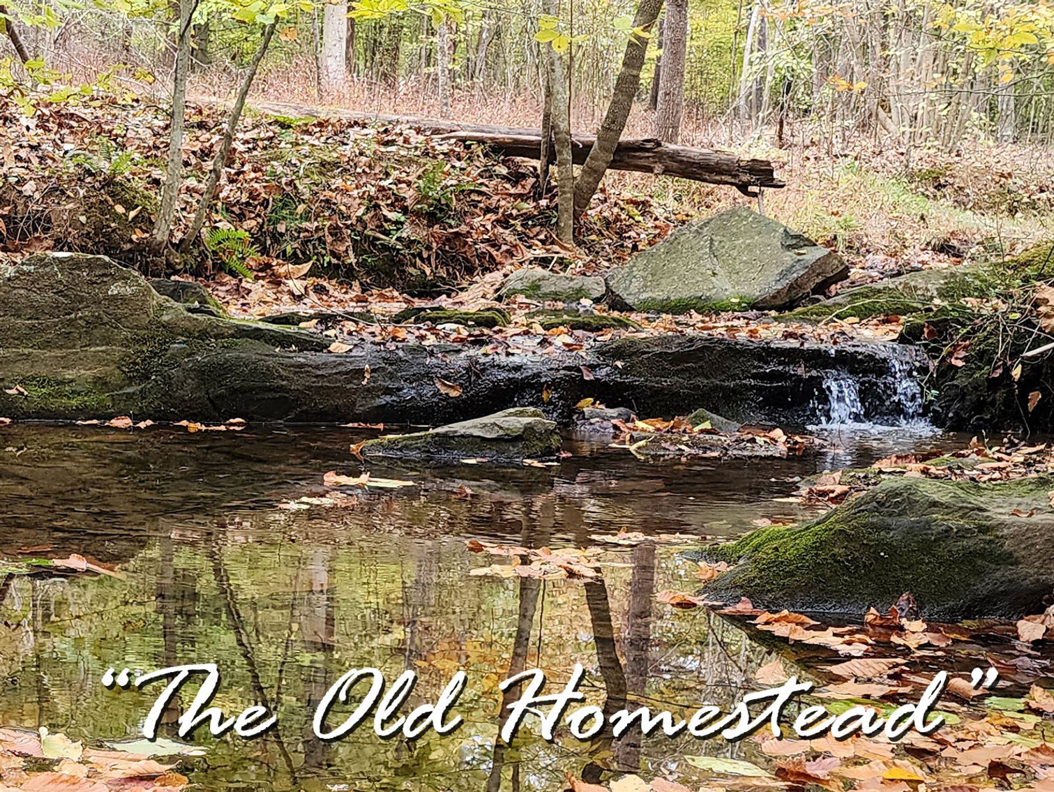 Image for The Old Homestead - 105 Acres in 3 Tracts