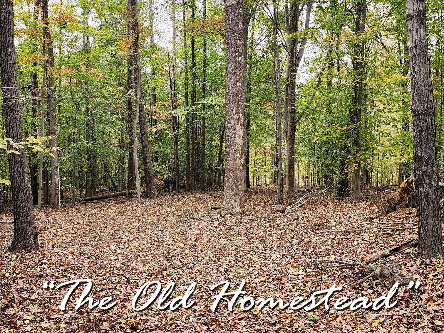 Image for The Old Homestead - 105 Acres in 3 Tracts
