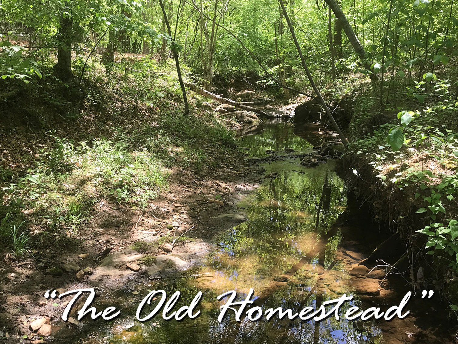 Image for The Old Homestead - 105 Acres in 3 Tracts