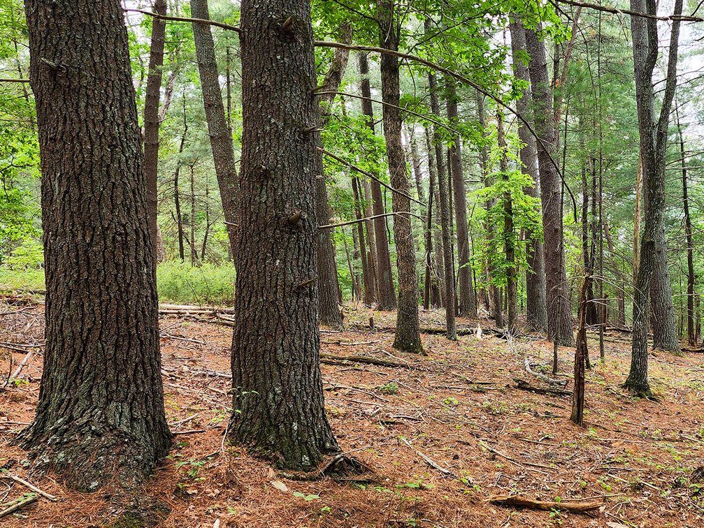 Image for Boones Mill 116 Acre Farm