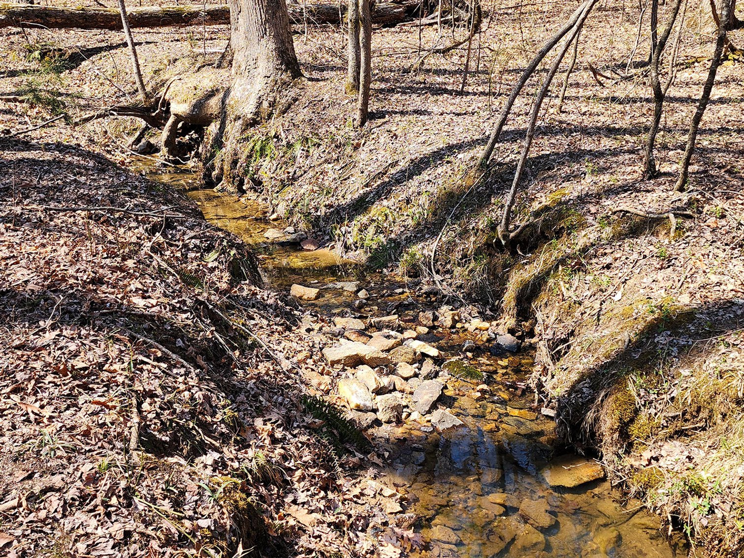 Image for 10 Acres on Button Creek in Rustburg