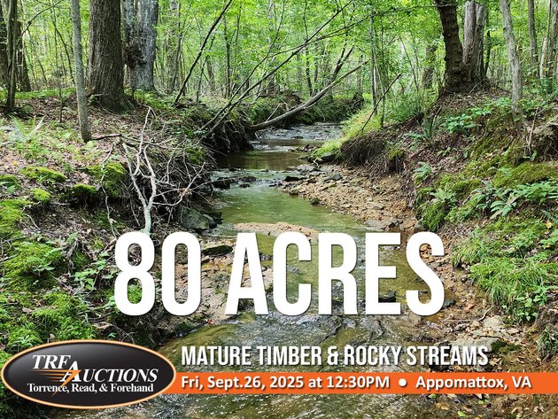 Beautiful 80 Acres in Appomattox VA