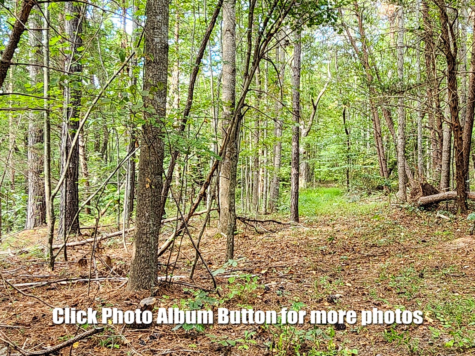 Image for 2 BR Home on 4.1 Acres