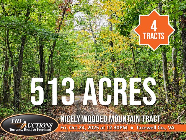 513 Acres in 4 Tracts