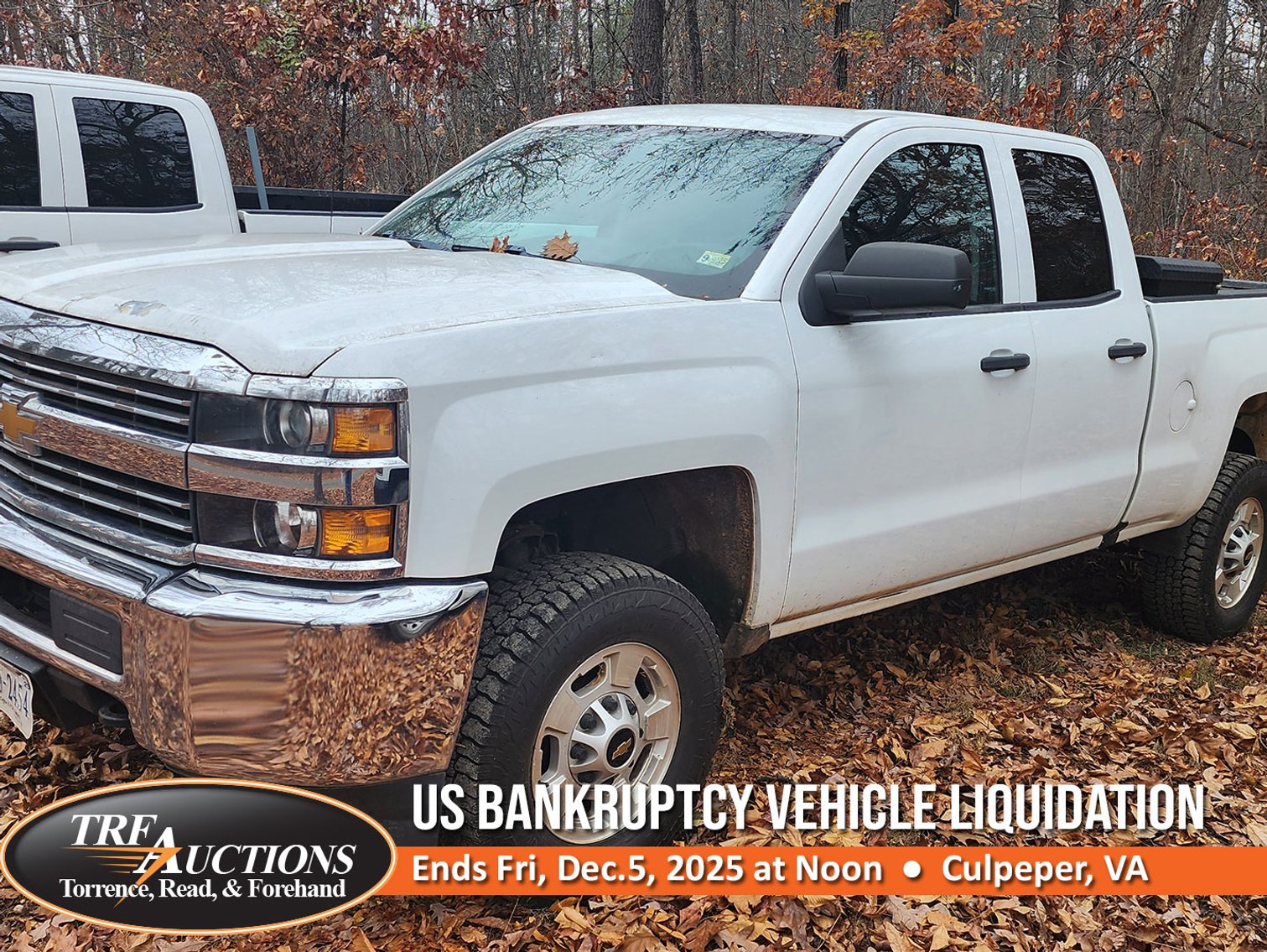 Image for US Bankruptcy Court Vehicle Auction
