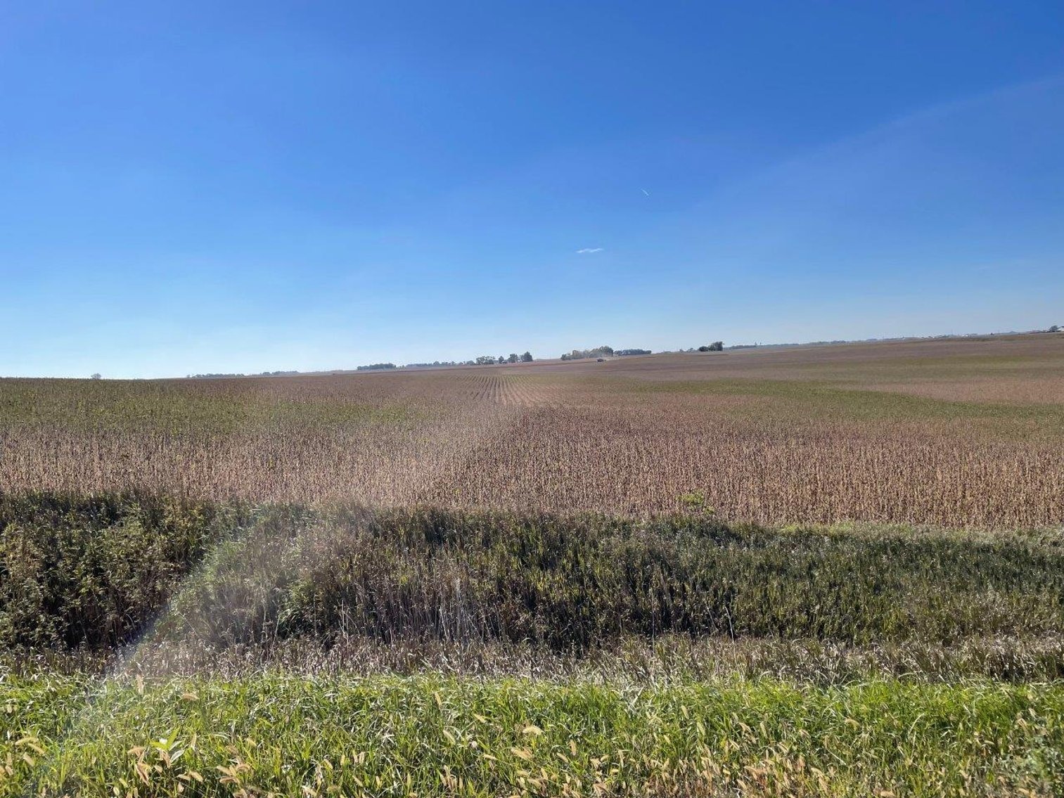 Image for Calhoun County, Iowa Farmland Auction!