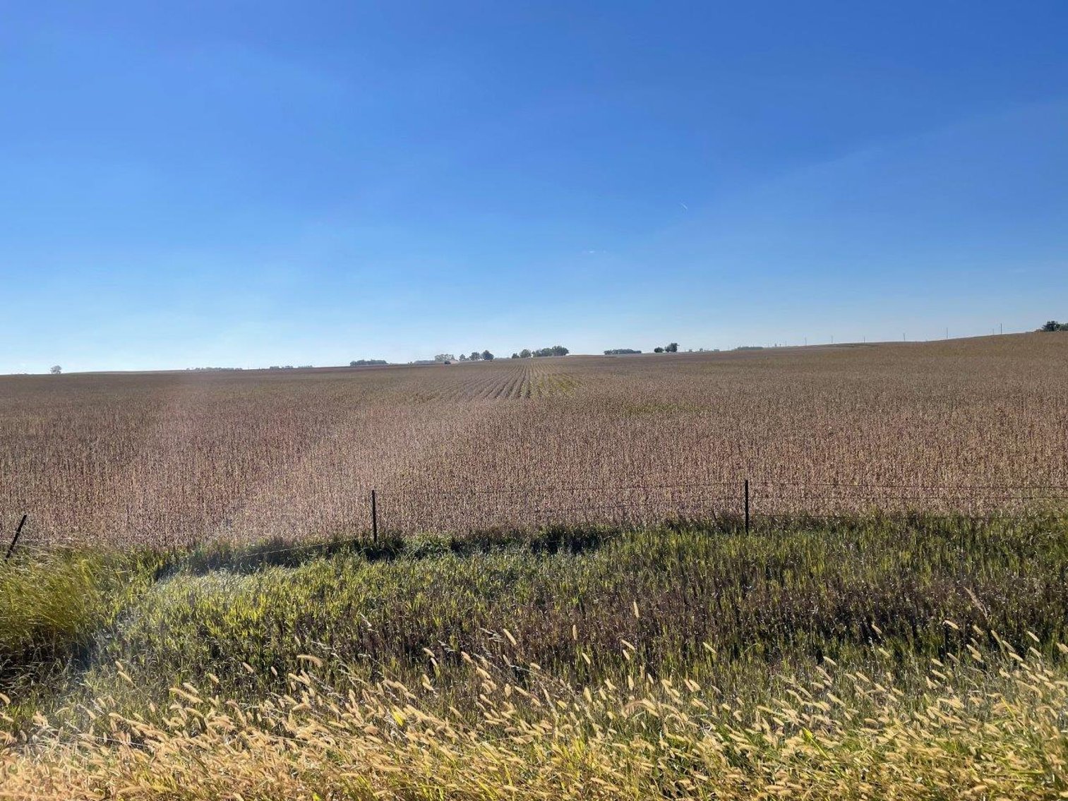 Image for Calhoun County, Iowa Farmland Auction!