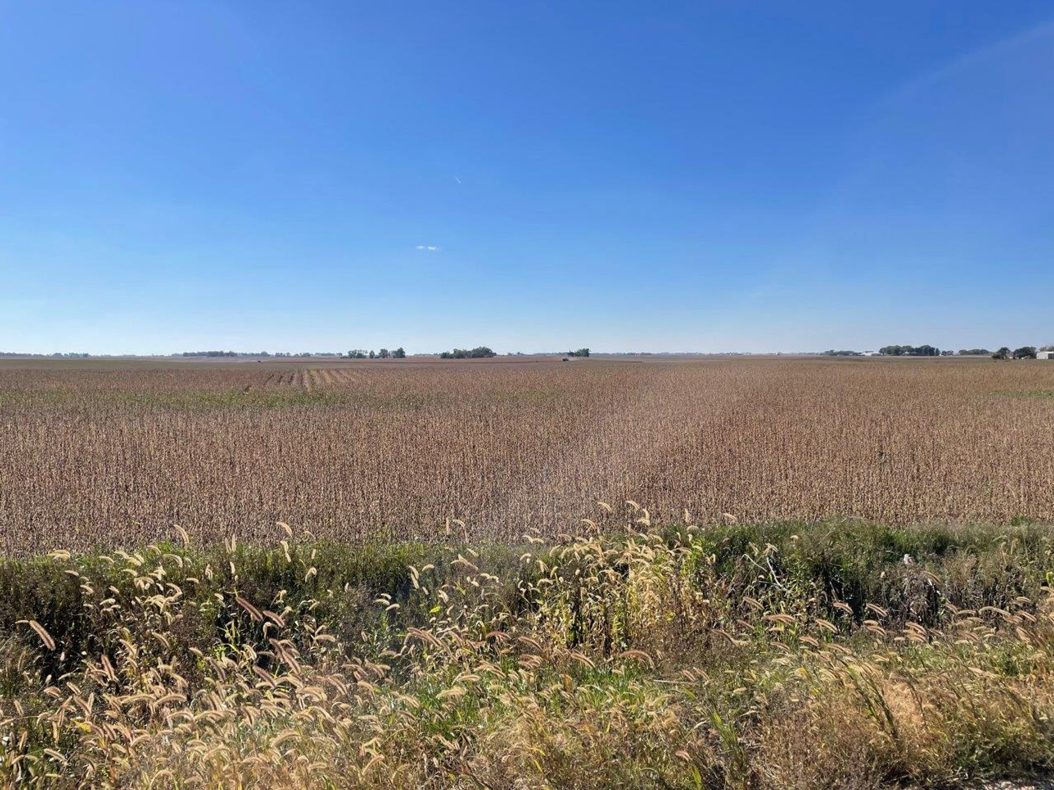 Image for Calhoun County, Iowa Farmland Auction!