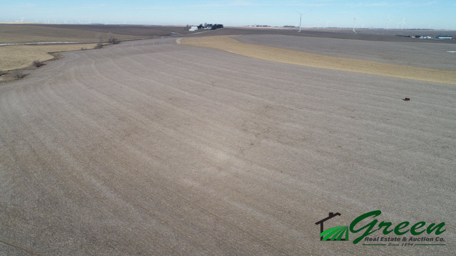 Image for Sac County Land Auction!