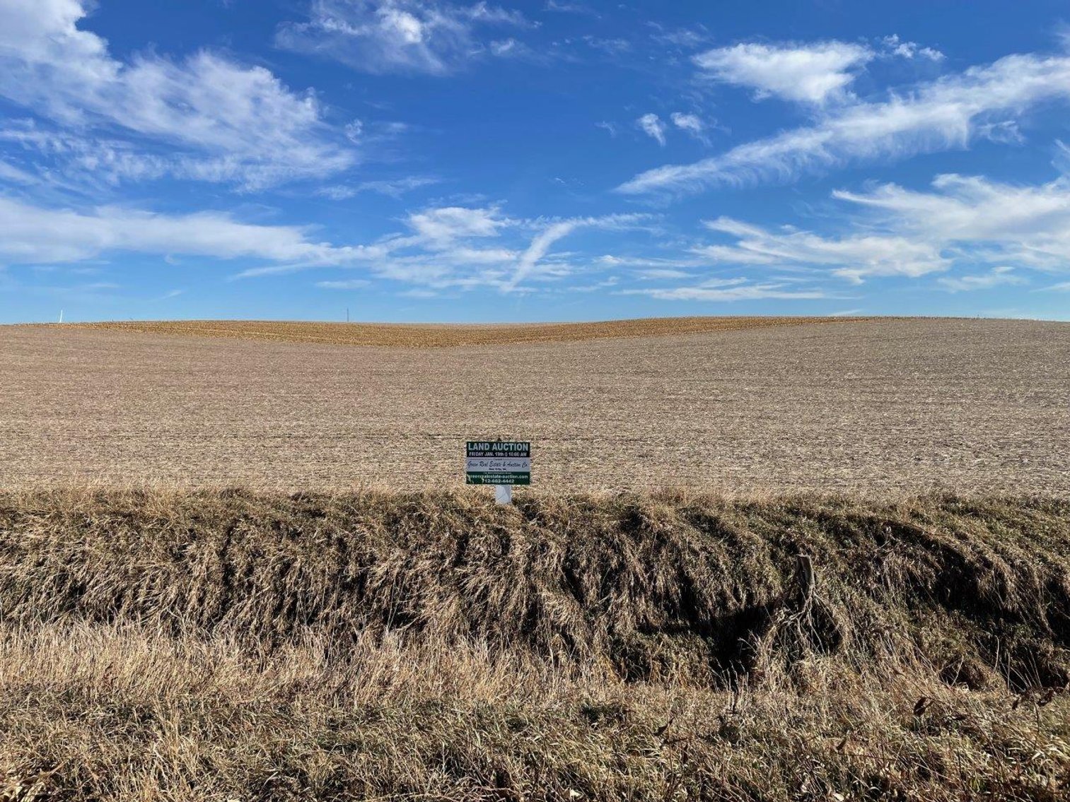 Image for Sac County Land Auction!