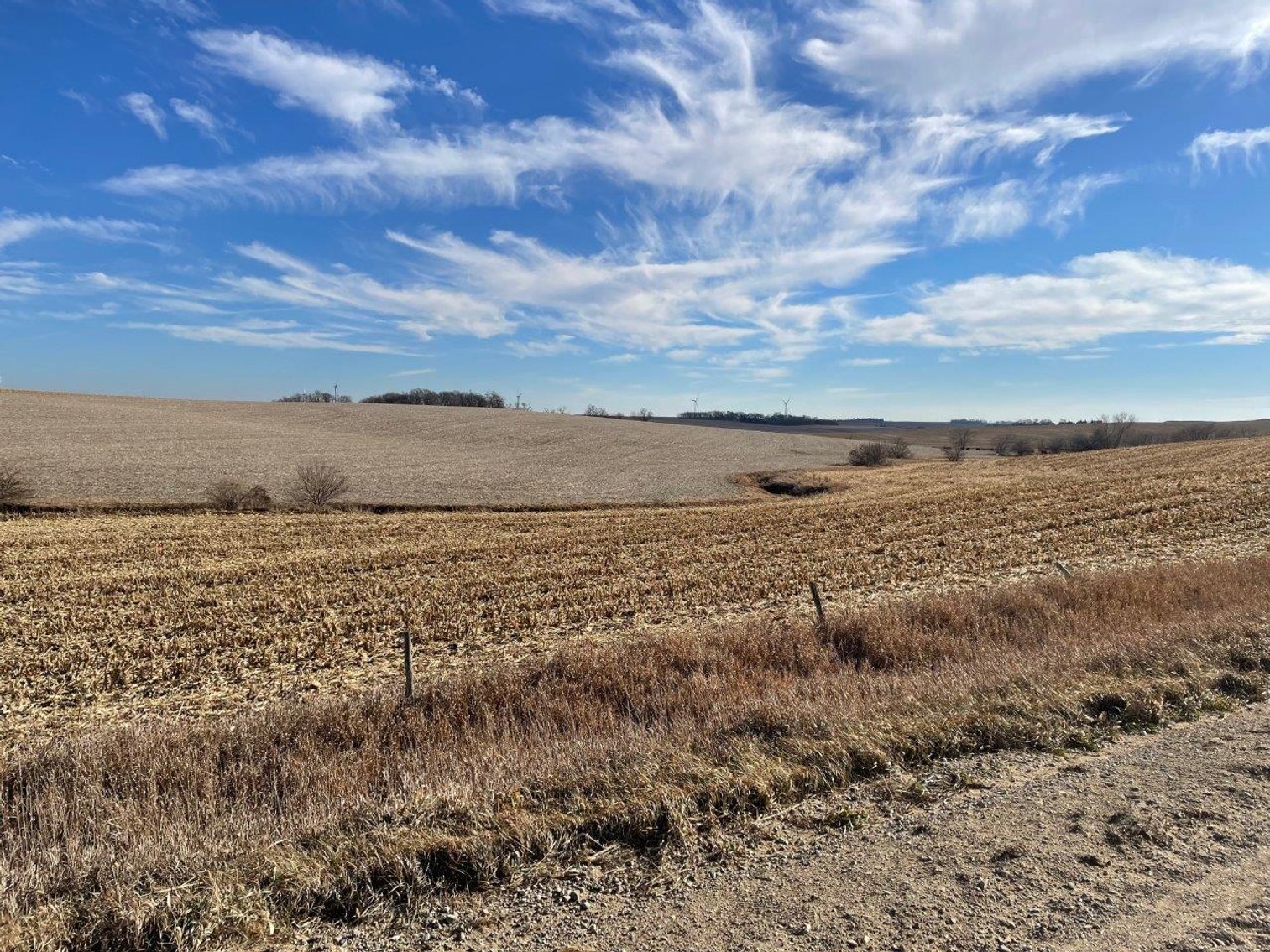 Image for Sac County Land Auction!