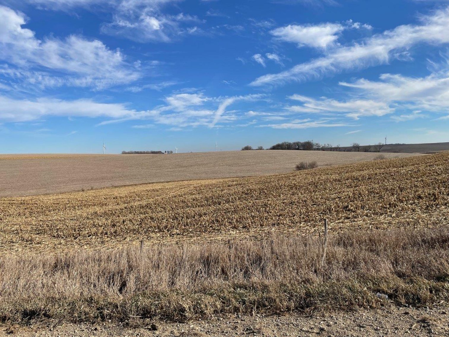 Image for Sac County Land Auction!