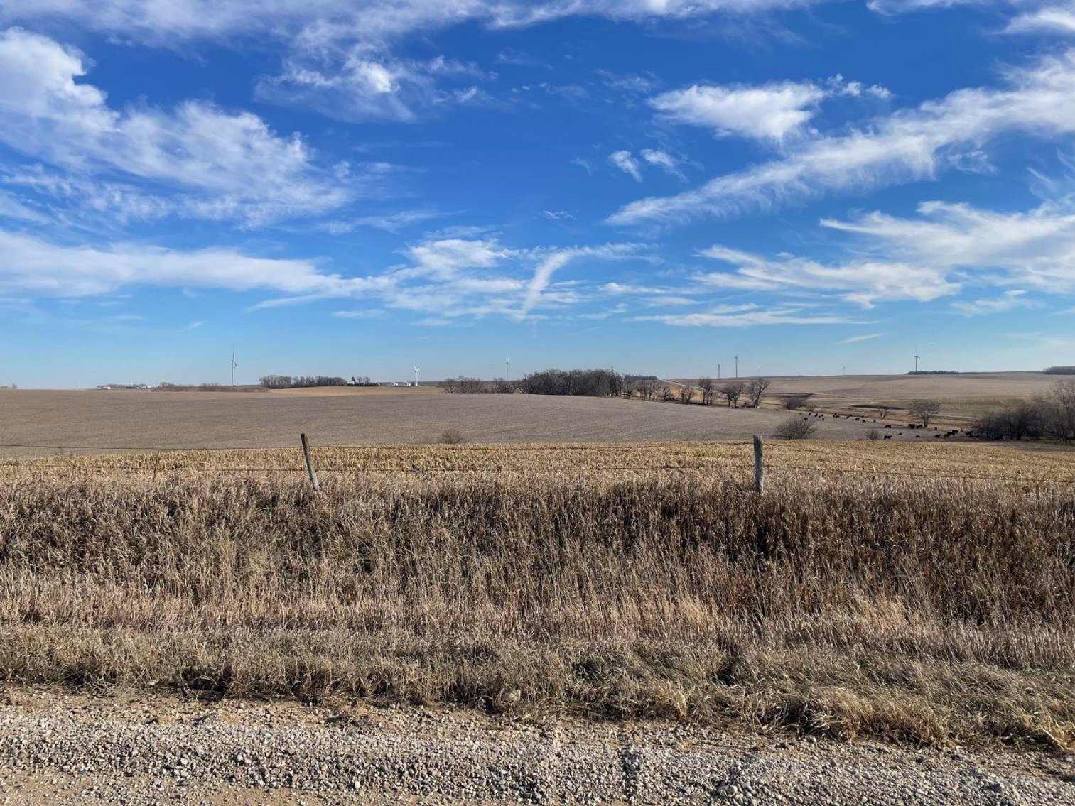 Image for Sac County Land Auction!