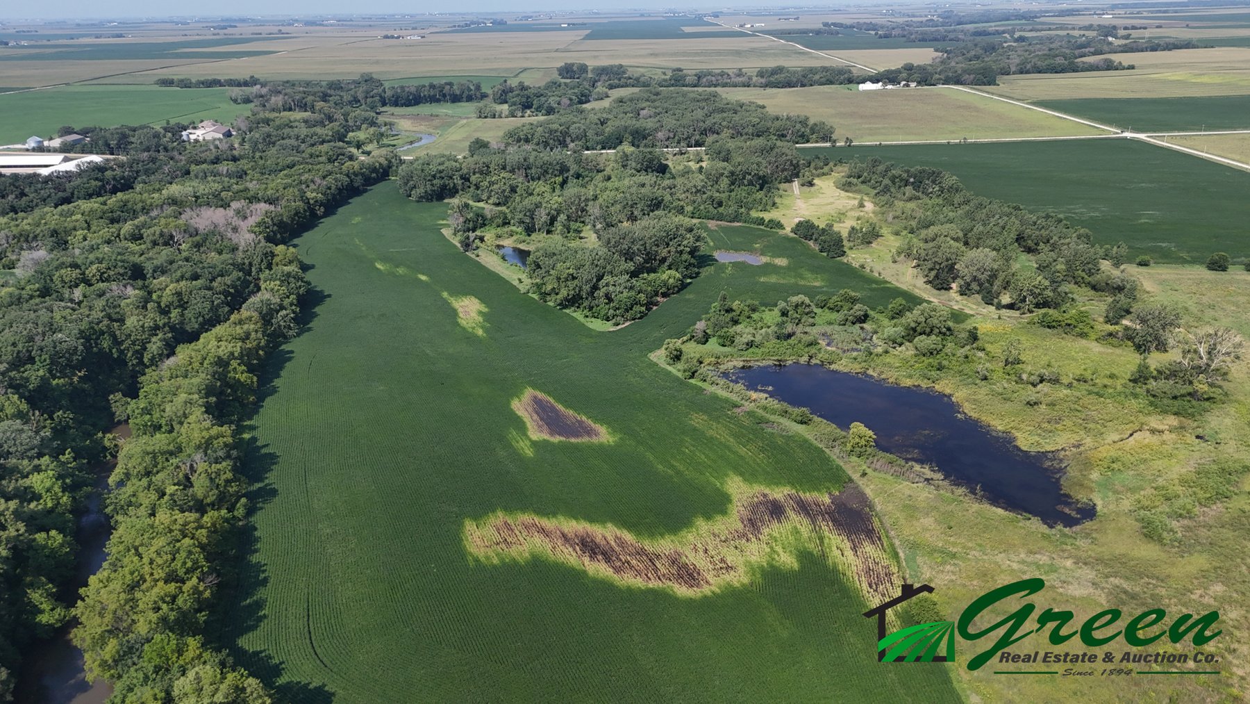 Image for Webster County, IA Land Auction!