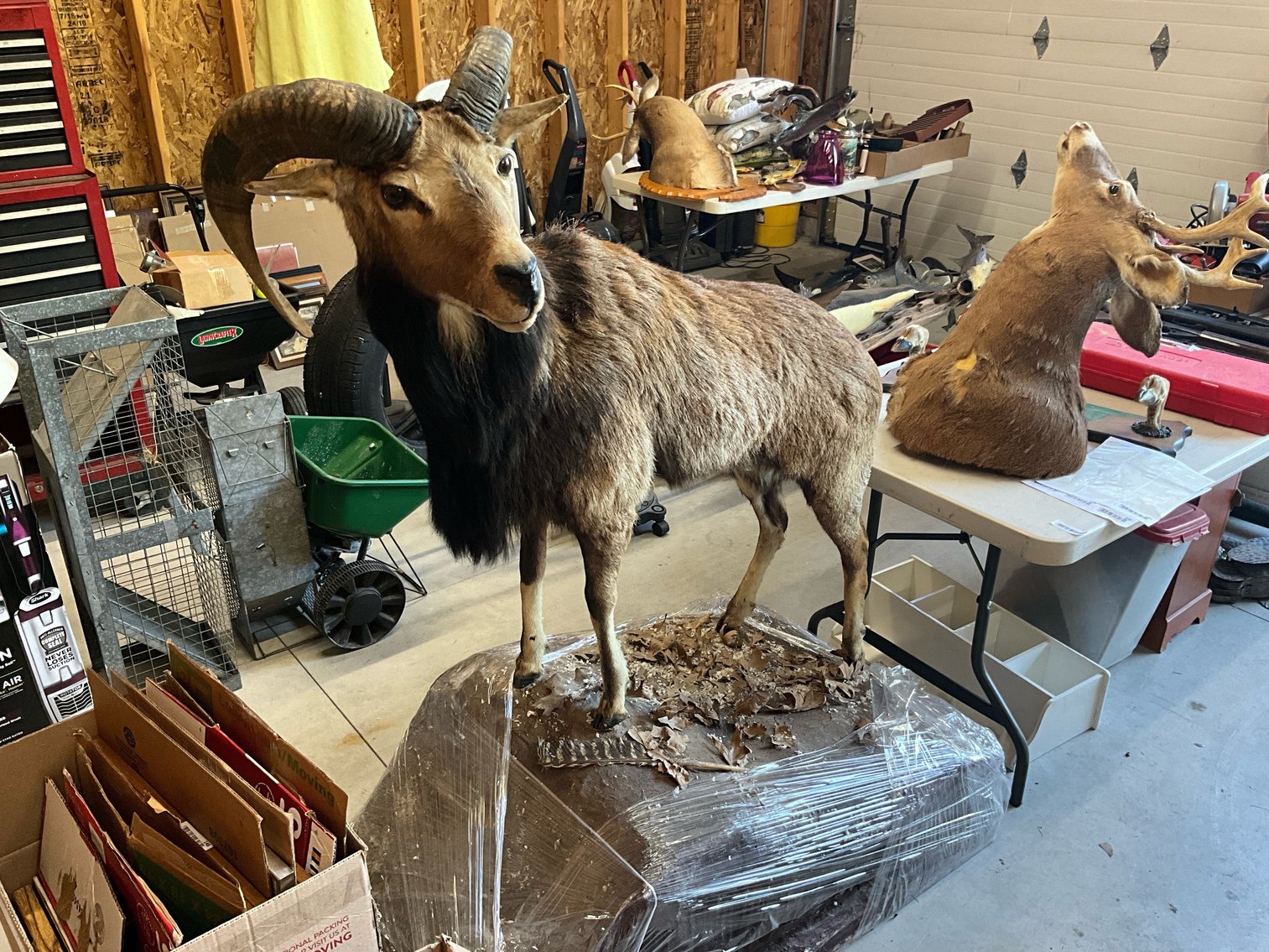 Image for (Whitehouse OH) Summer Consignment #2 July 2024 (Weckerly Rd.)