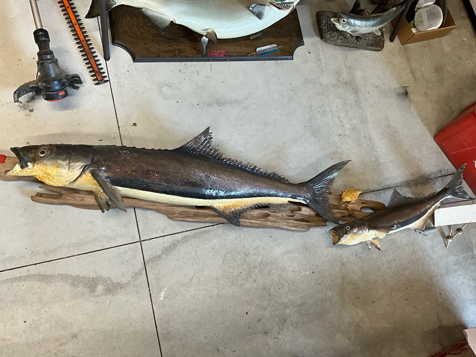 Image for (Whitehouse OH) Summer Consignment #2 July 2024 (Weckerly Rd.)