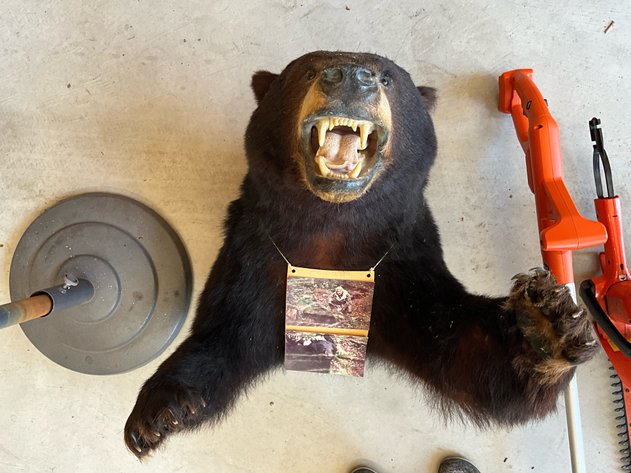 Image for (Whitehouse OH) Summer Consignment #2 July 2024 (Weckerly Rd.)