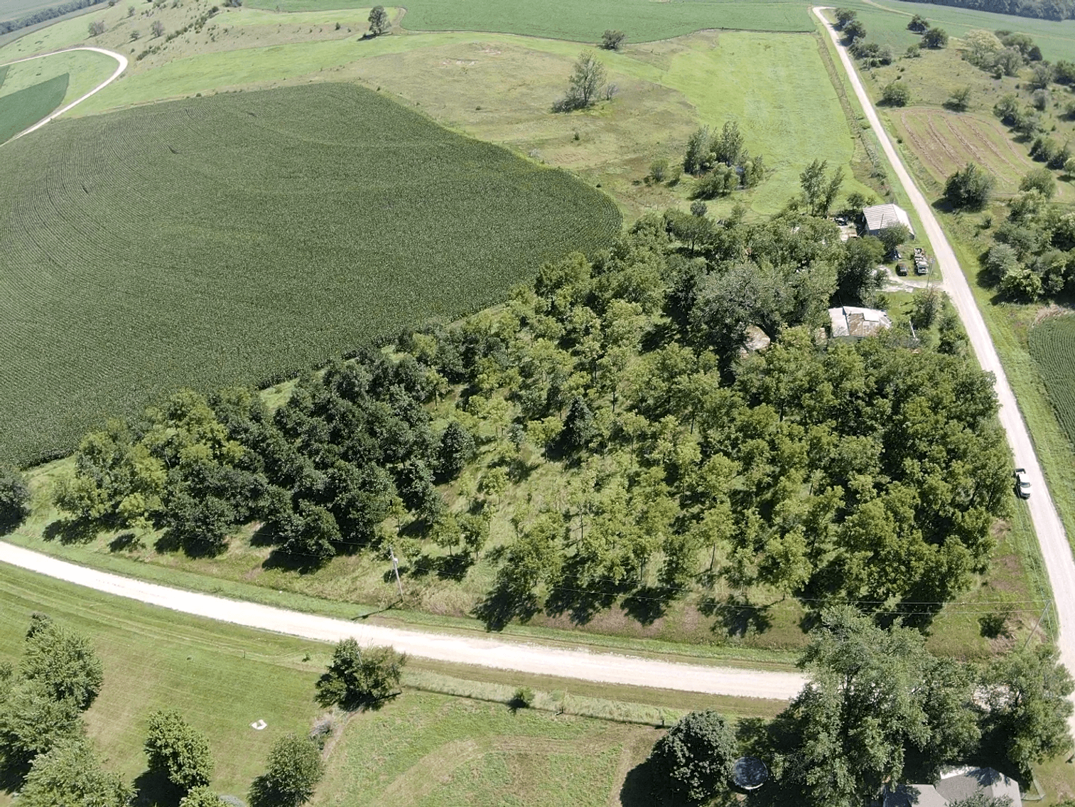 Image for Niebrugge Land Auction - Nemaha County, NE