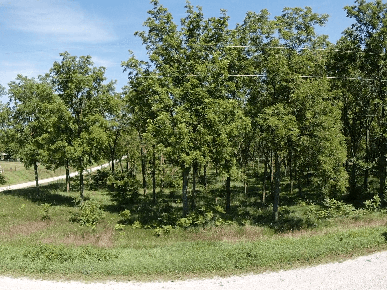 Image for Niebrugge Land Auction - Nemaha County, NE