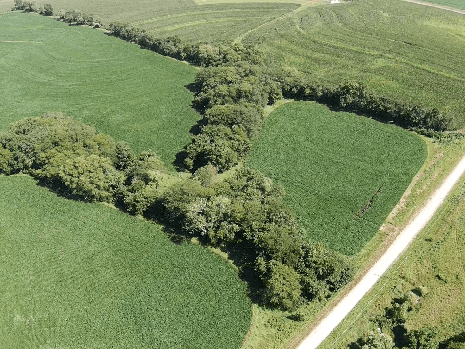 Image for Niebrugge Land Auction - Nemaha County, NE
