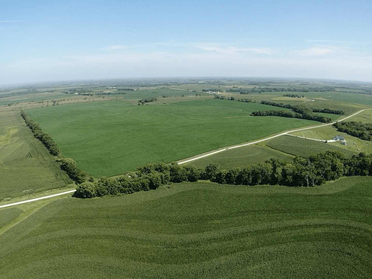 Image for Niebrugge Land Auction - Nemaha County, NE