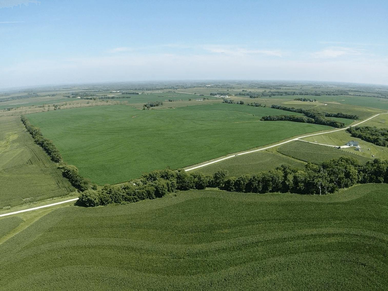 Image for Niebrugge Land Auction - Nemaha County, NE