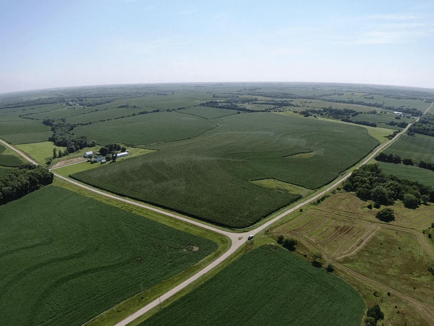 Image for Niebrugge Land Auction - Nemaha County, NE