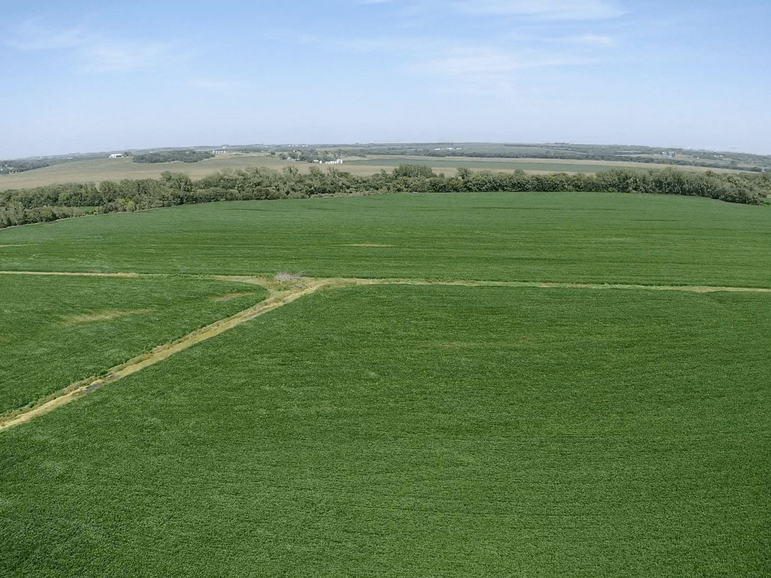 Image for Niebrugge Land Auction - Nemaha County, NE