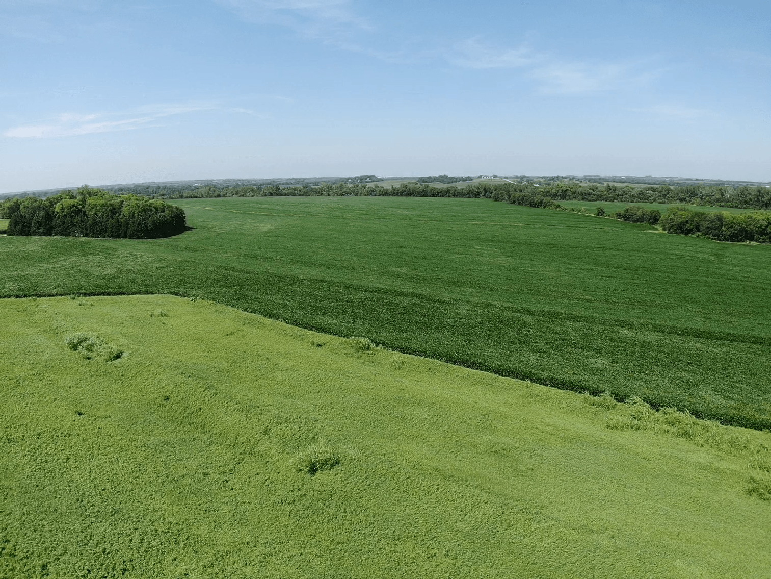 Image for Niebrugge Land Auction - Nemaha County, NE