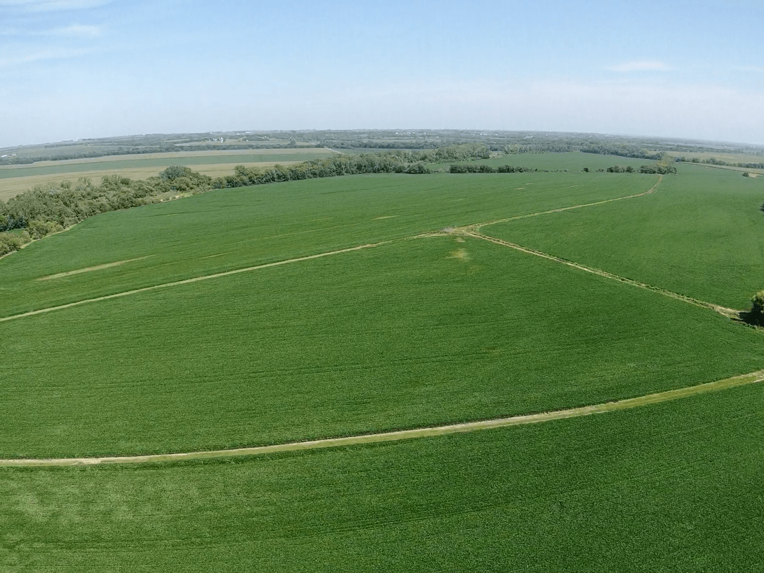 Image for Niebrugge Land Auction - Nemaha County, NE