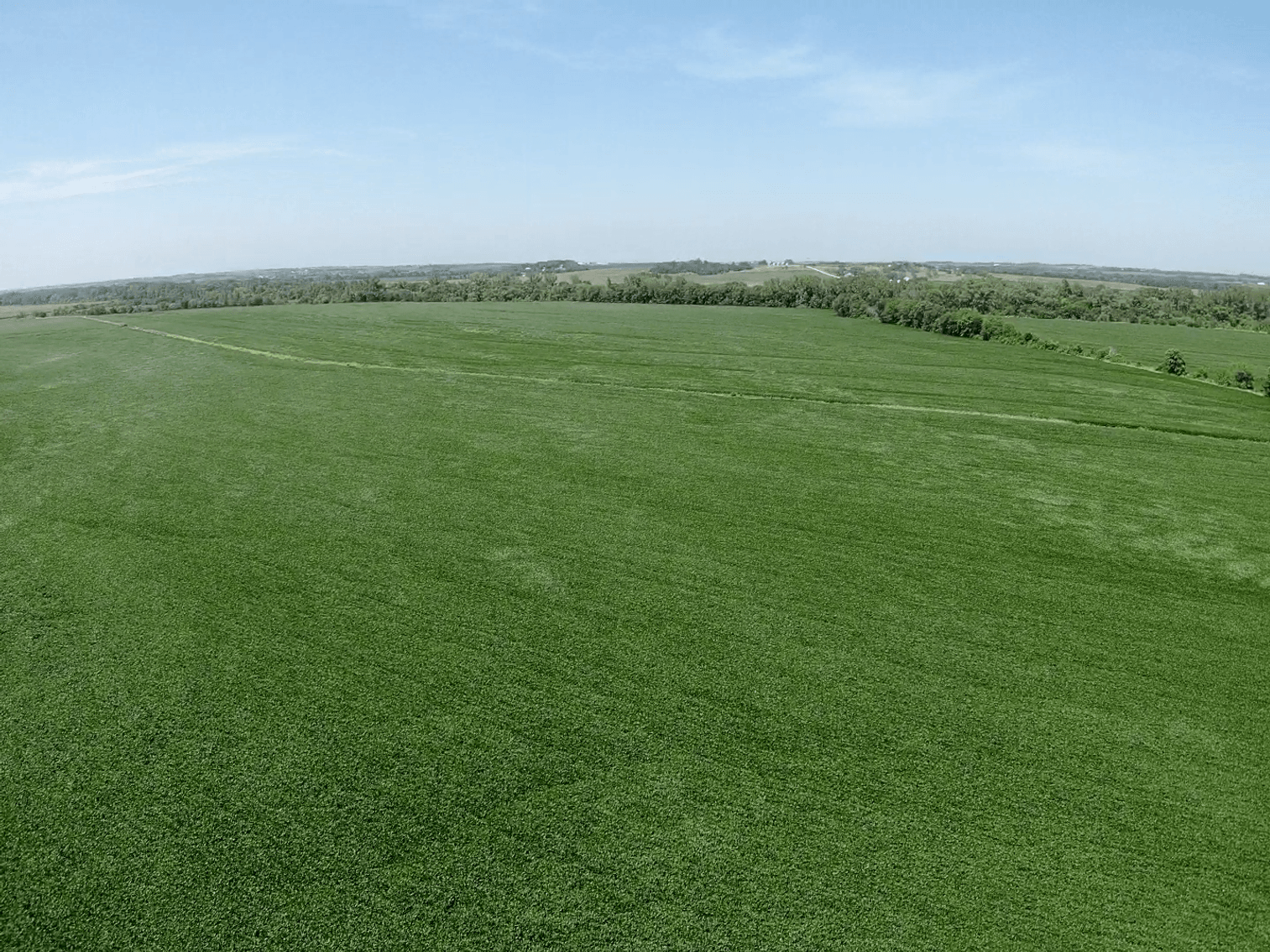 Image for Niebrugge Land Auction - Nemaha County, NE