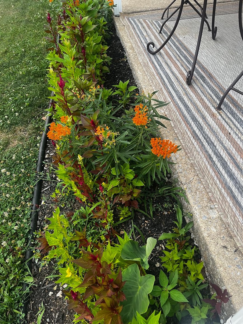 Image for Mobile Home Auction - 50+ Swatara Mobile Homes Park Community