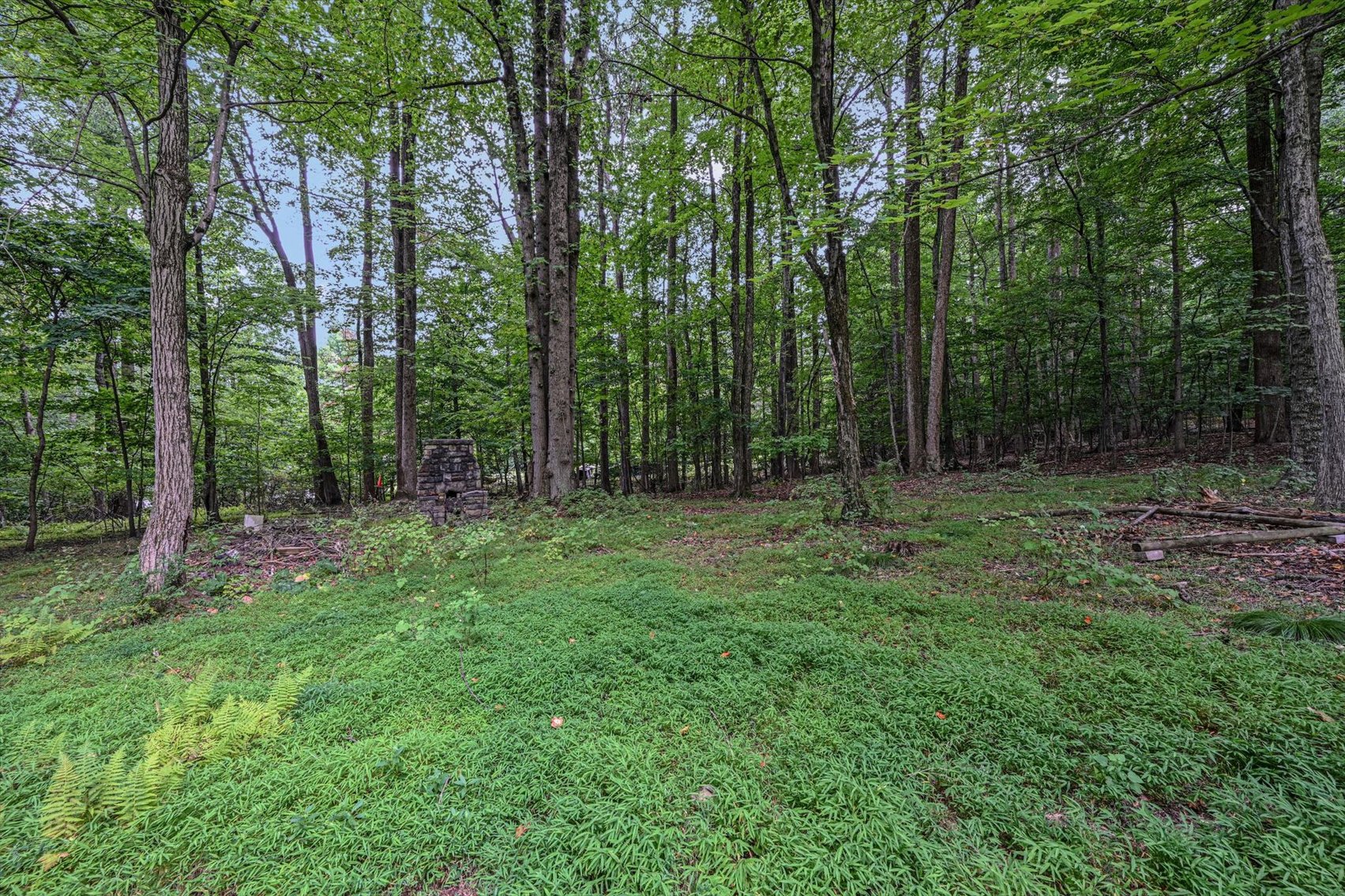 Image for Real Estate Auction - Grantville PA