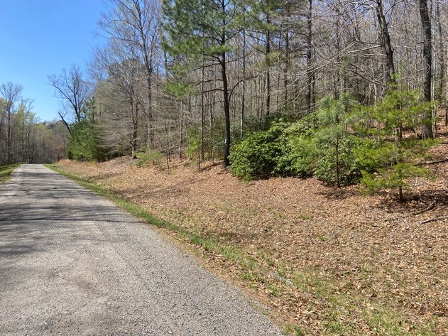 Image for New Kent County Tax Delinquent Auction May 8 2025