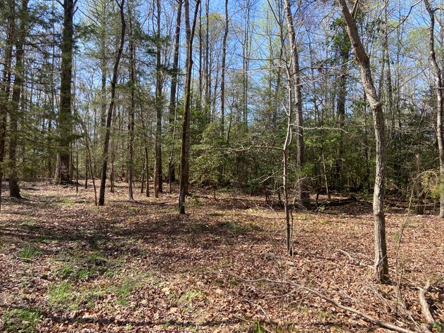 Image for New Kent County Tax Delinquent Auction May 8 2025