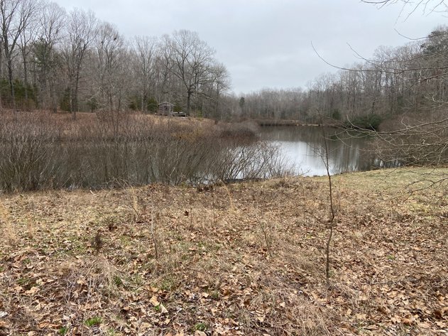 Image for New Kent County Tax Delinquent Auction May 8 2025