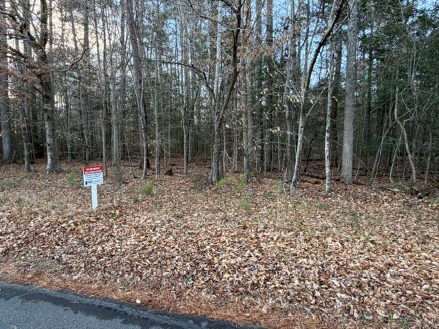 Image for New Kent County Tax Delinquent Auction February 5, 2026