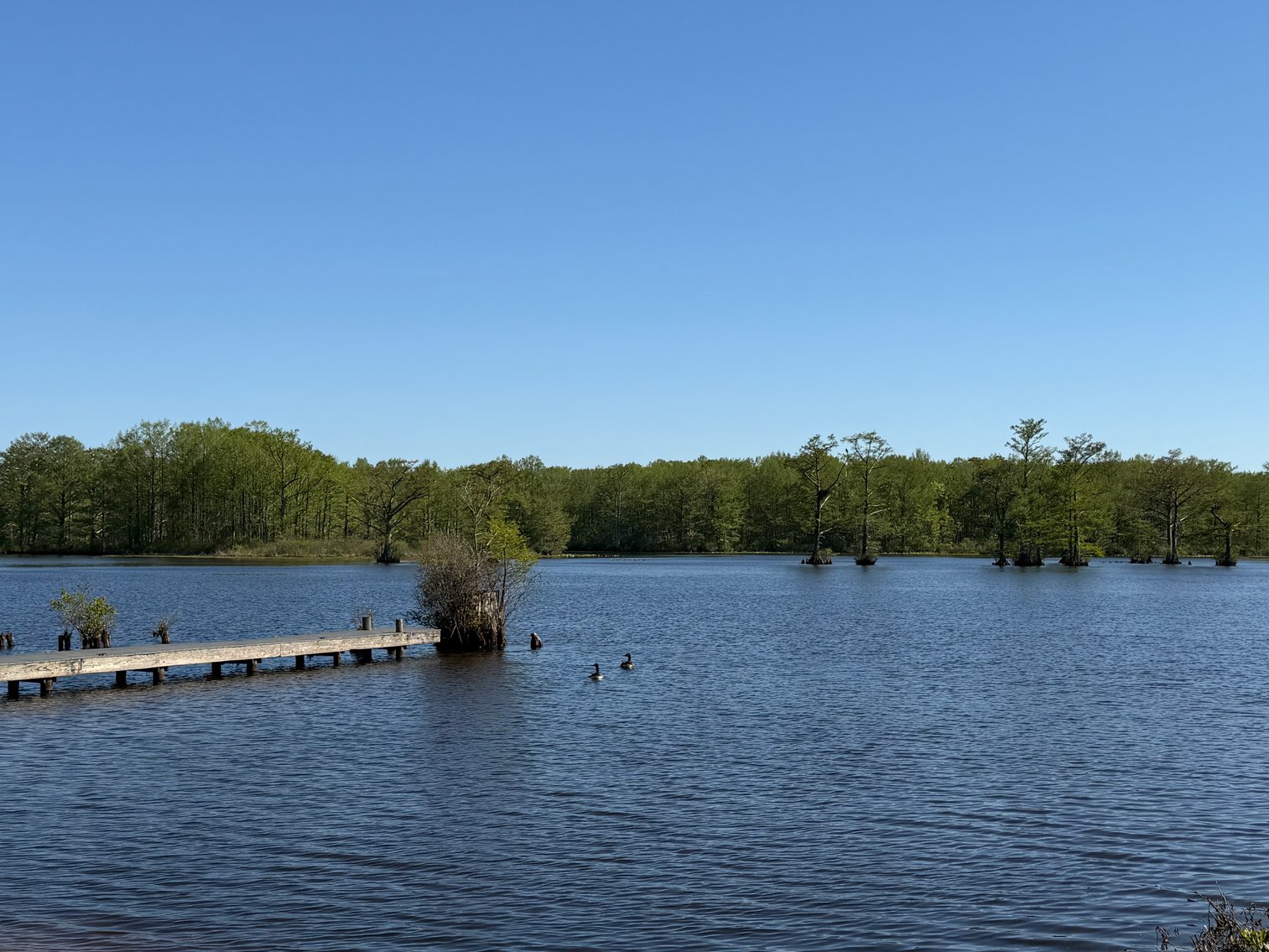 Image for Eagles Landing Marina Real Estate and Business Assets - New Kent County Virginia