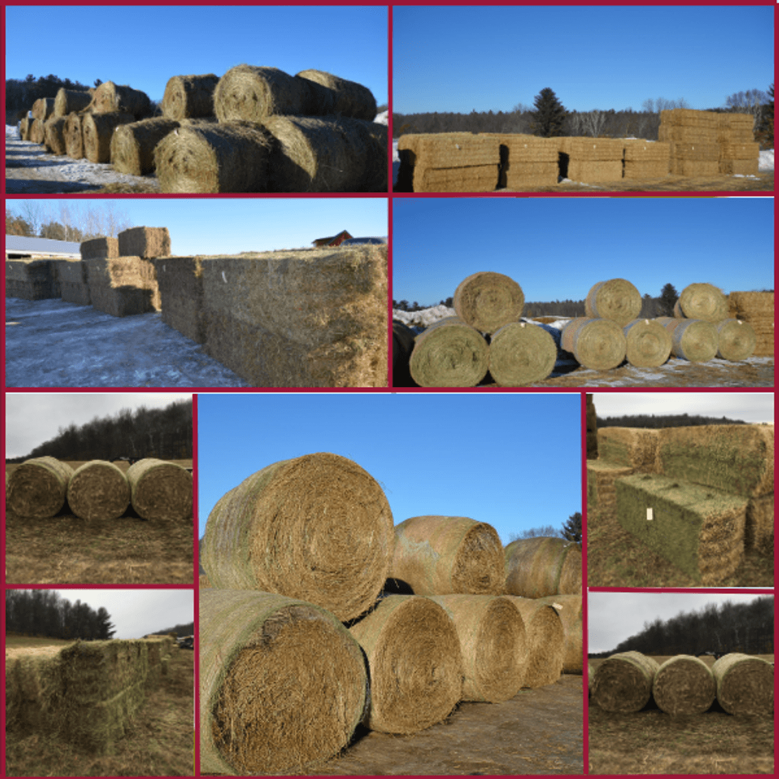 Image for FEBRUARY HAY & BEDDING AUCTION - Fairchild, WI