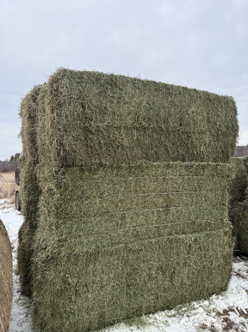 Image for JANUARY HAY & BEDDING AUCTION - Fairchild, WI