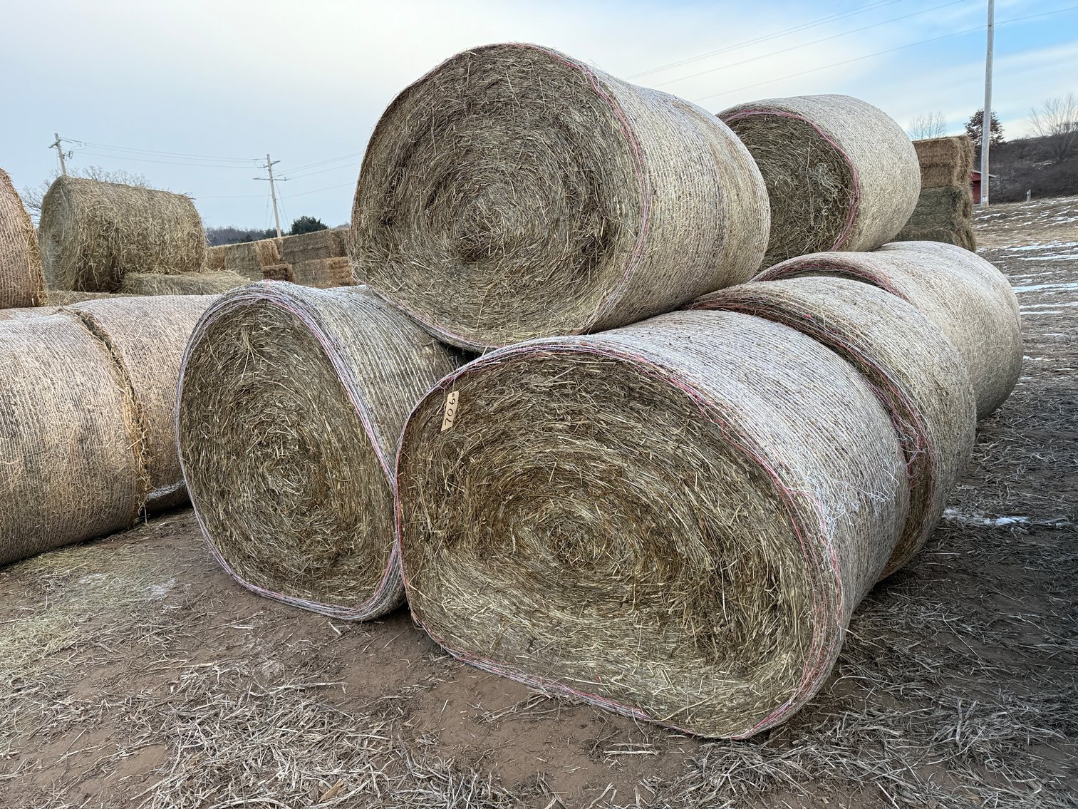 Image for LATE JANUARY HAY & BEDDING AUCTION - Dodge, WI