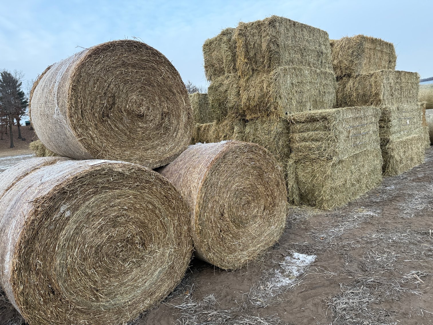Image for LATE JANUARY HAY & BEDDING AUCTION - Dodge, WI