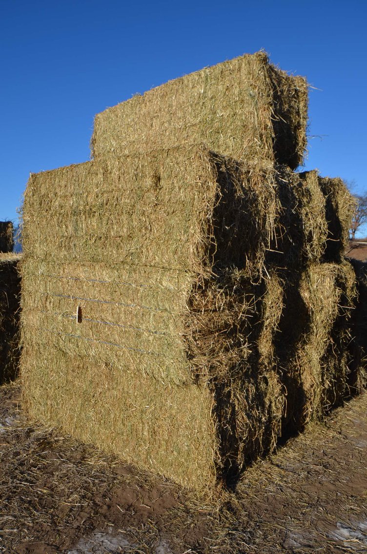 Image for DODGE ONLINE HAY AUCTION - Dodge, WI